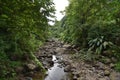 River at Dark View Falls, St. Vincent and the Grenadines