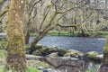 River Rothay at White Moss Walks, scenic forest recreational area in Lake District National Park in South Lakeland England, UK Royalty Free Stock Photo