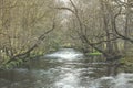 River Rothay at White Moss Walks, scenic forest recreational area in Lake District National Park in South Lakeland England, UK Royalty Free Stock Photo