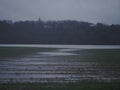 River Ruhr between, citys Hattingen and Bochum during the Christmas flood of 2023, it is raining heavily, the air shimmers with