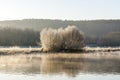 River Ruhr at sunrise, Schwerte Geisecke, Germany