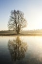 River Ruhr at sunrise, Schwerte Geisecke, Germany