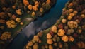 a river running through a forest filled with lots of trees