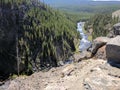 River running through forest at Yellowstone National Park