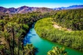 River running through an oasis in Mulege, Baja, Mexico Royalty Free Stock Photo