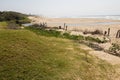 River Running into Sea Between Grass and Vegetation Covered Dunes Royalty Free Stock Photo