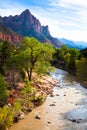 River Running through Zions Royalty Free Stock Photo