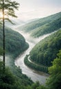 a river runs through a green forest and mountains