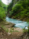 River rushing in a deep mountain canyon Royalty Free Stock Photo