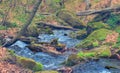 River rushing through a mountain canyon Royalty Free Stock Photo