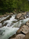 A rushing mountain river