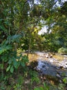 River at Sabak Bernam Royalty Free Stock Photo