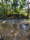 River at Sabak Bernam Royalty Free Stock Photo