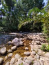 River at Sabak Bernam Royalty Free Stock Photo