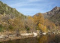 River in Sabino Canyon