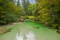 River Savica, Bohinj, Slovenia Royalty Free Stock Photo