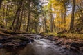 River scene in the forest in Fall Royalty Free Stock Photo