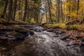 River scene in the forest in Fall Royalty Free Stock Photo