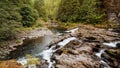 River Scene in the Forest