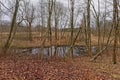 River through Pirita forest, Tallinn