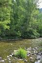 River Segre of MontellÃÂ¡ Martinet located in the Alta CerdaÃÂ±a region, Lleida province, Catalonia Royalty Free Stock Photo