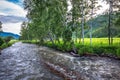 A River Sema. Altai Republic, Russia Royalty Free Stock Photo