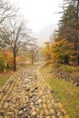 River at Seoraksan national park during autumn season.