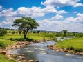 River Serengeti Africa