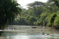 River - Serengeti Safari, Tanzania, Africa Royalty Free Stock Photo