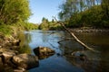 Branch leaving the river