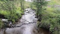 River Severn running through Hafren forest, in Powys, mid Wales