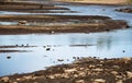 The river is shallow and very polluted by people. There is a lot of garbage and waste in the pond and this has become a huge probl Royalty Free Stock Photo