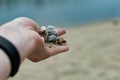 River shells and fine white river sand fall from a woman`s hand Royalty Free Stock Photo