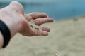 River shells and fine white river sand fall from a woman`s hand Royalty Free Stock Photo