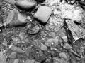 River shore rocks in black and white Royalty Free Stock Photo