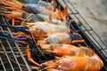 River shrimp burn on the grill