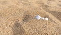 River side shell on sand with nature gifts