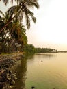 River side view at sunset Beach evening water nature coconut sky Royalty Free Stock Photo