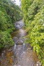 River, Sinharaja National Park Rain Forest, Sinharaja Forest Reserve