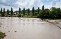 River slimy bottom and bank after water flood Royalty Free Stock Photo