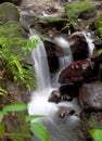 River and small falls from Emerald Pool, Dominica Royalty Free Stock Photo