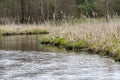 A river with small rain at spring