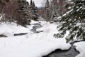 River in snowy forest