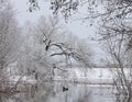 River and snowy trees, Lithuania Royalty Free Stock Photo