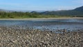 The river Sob, Sunny summer day. Polar Urals, Russia