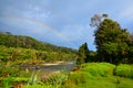 River, South Coast Track Royalty Free Stock Photo