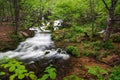 River spring with cascade in the forest