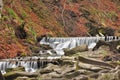 River in spring forest Royalty Free Stock Photo