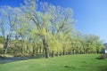 River in Springtime, Williamstown, Massachusetts Royalty Free Stock Photo