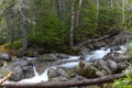 River Sream Mount Washinton area via Ammonoosuc ravine trail Royalty Free Stock Photo